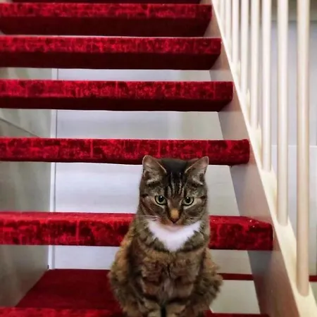 阿姆斯特丹市中心酒店 酒店 阿姆斯特丹